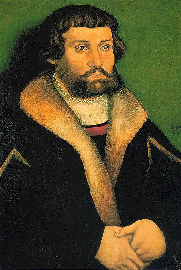 Hans Cranach Portrait of a Man Norge oil painting art